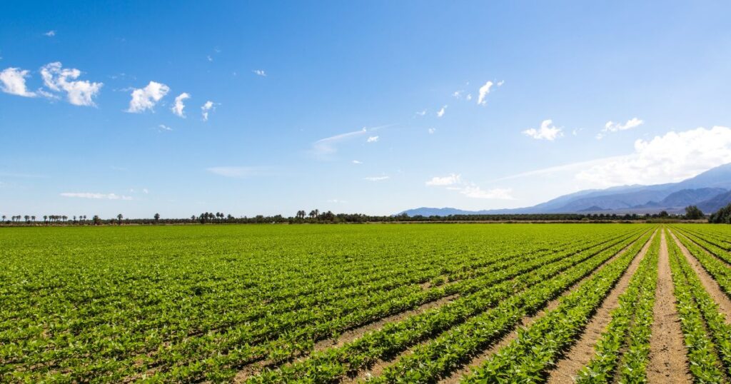 雲林遺產律師張珮琪律師協助處理特留分、農地遺產分割、特種贈與法律爭議
