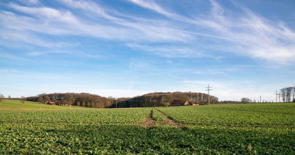 南投不動產律師張珮琪律師協助處理共有土地與變價分割訴訟